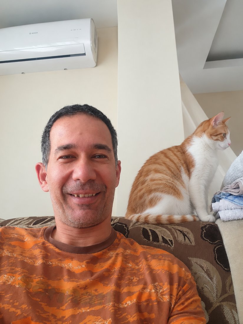 Ulaş ve koltuğun üzerinde oturan sarı-beyaz bir misafir kedi